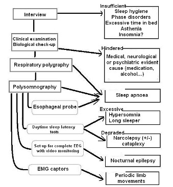 Decisional tree for the diagnosis of excessive daytime sleepiness